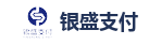 银盛支付